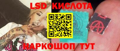 спиды Бердск