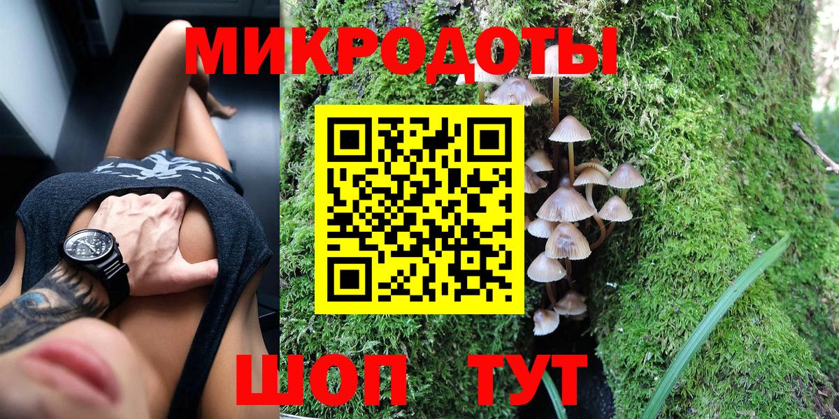 Псилоцибиновые грибы Psilocybe  Вход с VPN  Мценск  Псилоцибиновые грибы мицелий 