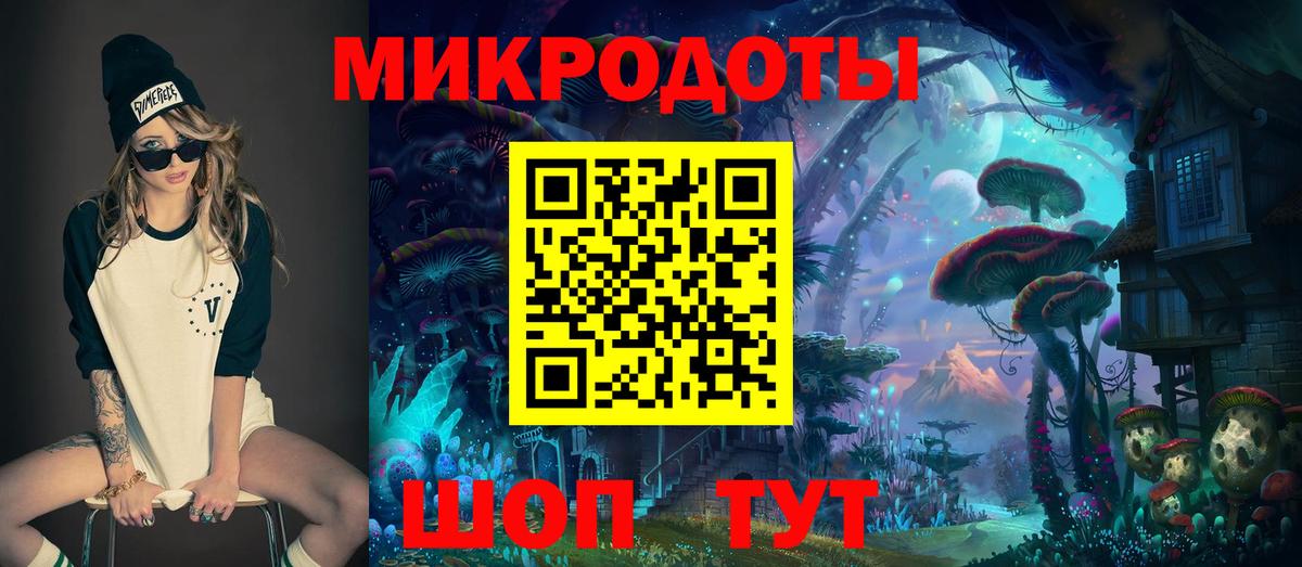 Псилоцибиновые грибы Psilocybine cubensis Мценск